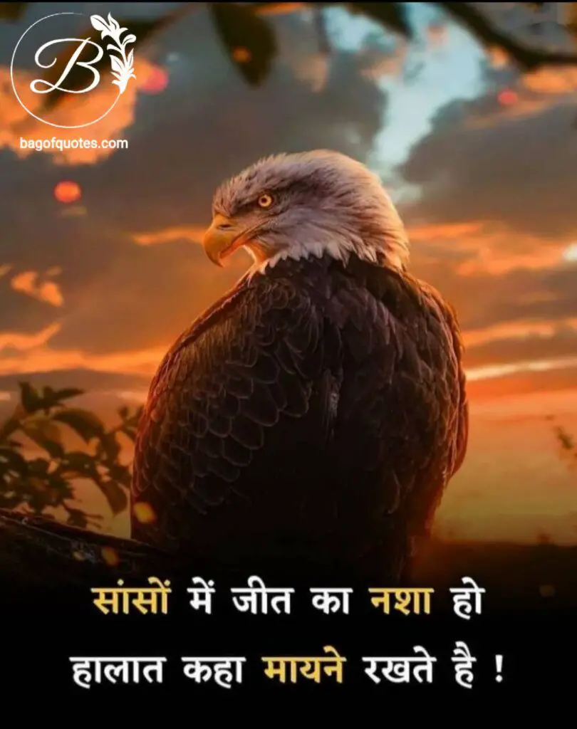 अगर जीत का नशा हमारे सांसों में होगा तो फिर हमारे हालात कुछ मायने नहीं रखती hindi quotes on sucess