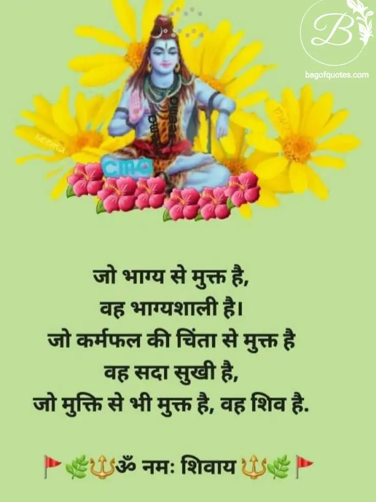 जो भाग्य से मुक्त है,
वह भाग्यशाली है,
जो कर्मफल की चिंता से मुक्त है,
वह सदा सुखी है, Quotes of Mahadev In Hindi