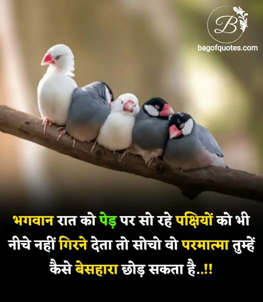 Today's best thought of the day in hindi जब भगवान रात को पेड़ पर सो रहे पंछियों को नीचे नहीं गिरने देता